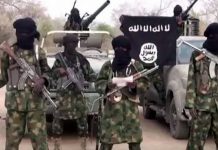 Borno, Diffa in alliance to secure borders against Boko Haram