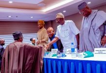Gbajabiamila assures Nigerians on Diaspora voting