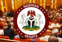 Senate demands immediate completion of Abadigba-Egume power project in Kogi