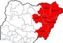 Boko Haram: UNDP visit exposed terror group’s false narratives–The Truth Alliance