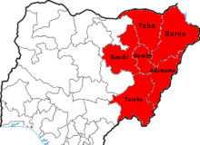 Boko Haram: UNDP visit exposed terror group’s false narratives–The Truth Alliance
