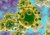 UK coronavirus cases top 13 million