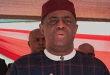 The Lion that cannot be caged, By Femi Fani-Kayode