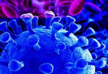 Catholic Monks develop “CVD PLUS” for the treatment of COVID-19