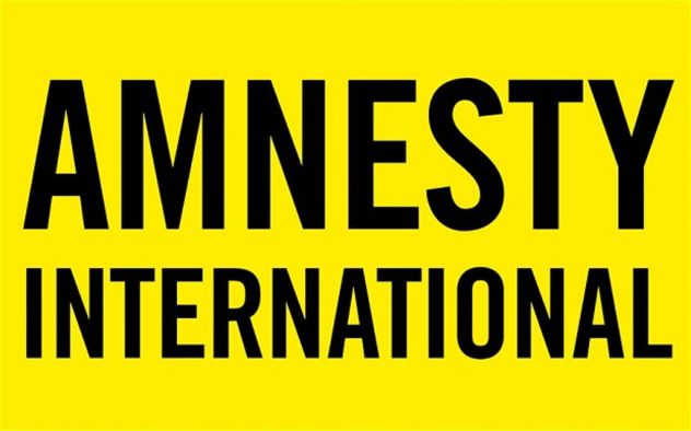 Amnesty-International Amnesty International must stop defending dangerous falsehoods in the guise of free speech, By Zagazola Makama