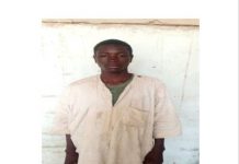 Boko Haram, ISWAP fighters surrender to Nigerian troops