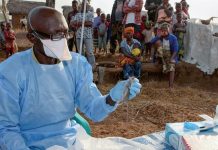 41 persons die of lassa fever in Bauchi