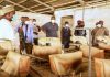 COVID-19: Yobe releases death figure