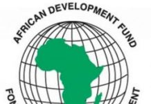 AfDB’s $538m Agro-Zones project will address Nigeria’s poverty, forex challenges – Official