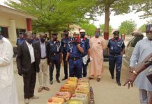 NSCDC arrest suspected Boko Haram logistics supplier in Borno