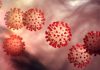 COVID-19: IFAD provides US$900,000 grants to support small-scale producers, rural households in 7 states Second hantavirus case confirmed after three die in suspected cruise ship outbreak