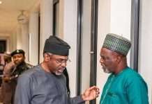 Gbajabiamila celebrates House Deputy Speaker at 56