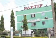 NAPTIP’s headquarters shut over COVID-19