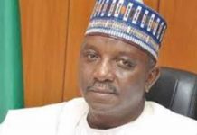 FG spends over N50bn monthly on electricity, says Minister of Power