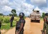 Senate urges security agencies to deploy drones, helicopters to monitor forests