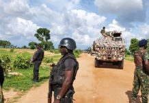 Senate urges security agencies to deploy drones, helicopters to monitor forests