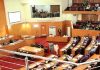 Anambra lawmaker distributes cassava stems to constituents