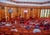 Senate urges FG to implement zero duty on aircraft importation, spare parts