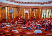 Senate refutes media report on passage of social media bill without following due process