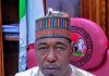 Zulum rebuilds 803 homes, resettles Malari returnees with N58.5 million cash, food