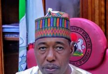 Boko Haram: Zulum commends military on recent successes