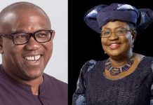 2023: Ohanaeze rules out Okorocha; tips Peter Obi, Okonjo-Iweala