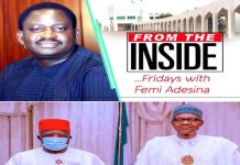 Dave Umahi’s Heart of Lion By Femi Adesina
