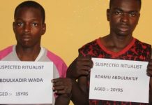 “How we killed, removed girl’s private part for N500,000” – arrested Bauchi ritualists