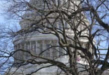 Top US generals condemn Capitol assault in rare message to troops (plus message)