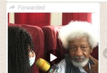 Prof. Soyinka: Talking about Buhari not good for my sanity (plus short video)