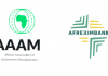 Afreximbank, AAAM to fund automotive industry in Africa