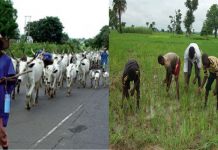 Herders-Farmers` Crisis: Which Way Nigeria? By Emeka Nwosu, PhD