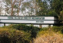 Developing: Bandits free 29 abducted Forestry College Students