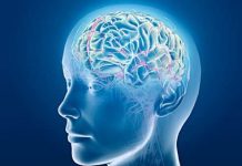 Do away with these 10 daily habits that damage the brain