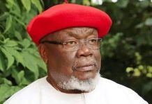 PDP congratulates Tom Ikimi at 77
