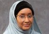 Voluntary repatriation of Nigerian refugees in Niger, Chad underway