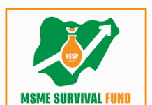 Presidency says portal for 4th National MSMEs Award opens May 10