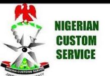 NCS intercepts 1,014.5kg of pangolin scales worth N1.7bn in Lagos