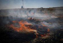 Israeli media: Cabinet approves ceasefire in Gaza