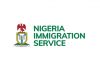 Ikoyi Passport Office works more, issues 60% of total passports-Ayegbusi