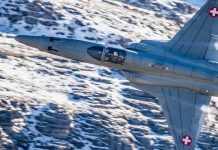 Swiss air force jet crashes, pilot unhurt