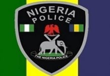 Police arrest 34 high-profile kidnappers, trans-border car thieves