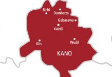 Strange disease kills six persons in Kano- Official