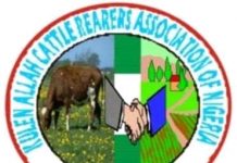 KACRAN praises Shettima’s leadership qualities