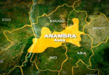 Anambra: Cattle-laden truck attacked, driver, conductor killed