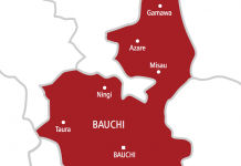 Bauchi health agency deploys 180 workers in Bauchi metropolis to contain gastroenteritis