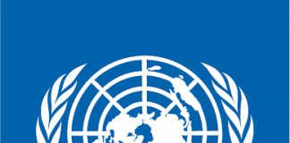 Access to conflict area: UNDP calls for military/civilian coordination