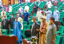 Independence Day: Reps reject motion on illegal arrest, brutalization of protesters in Abuja