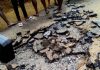 Igarra road/drainage controversy: Group commends Akpatason over swift intervention, calls for citizens’ vigilance
