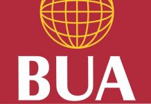 Nigeria needs more cement manufacturers to crash prices, says BUA